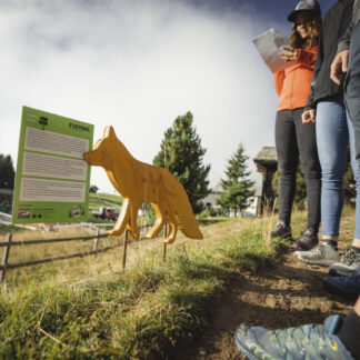 Foxtrail
