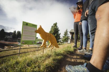 Foxtrail
